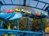 octopus-coaster