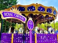 horses-on-carousel