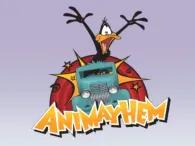 Ani Mayhem Ani Mayhem
