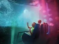 Cinesplash Cinesplash