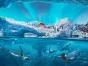 SeaWorld Yas Island Abu Dhabi SeaWorld Yas Island Abu Dhabi