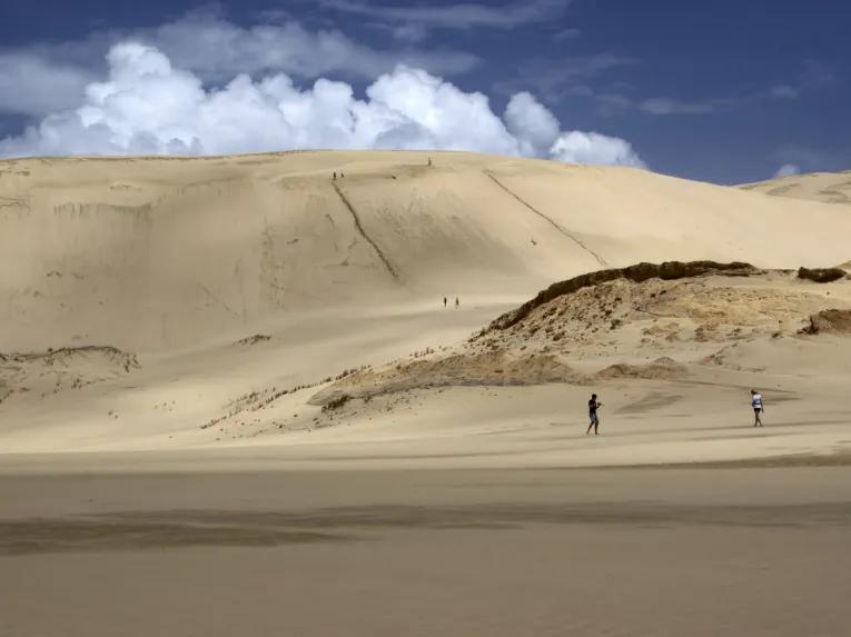 Cape Reinga Fly/Drive