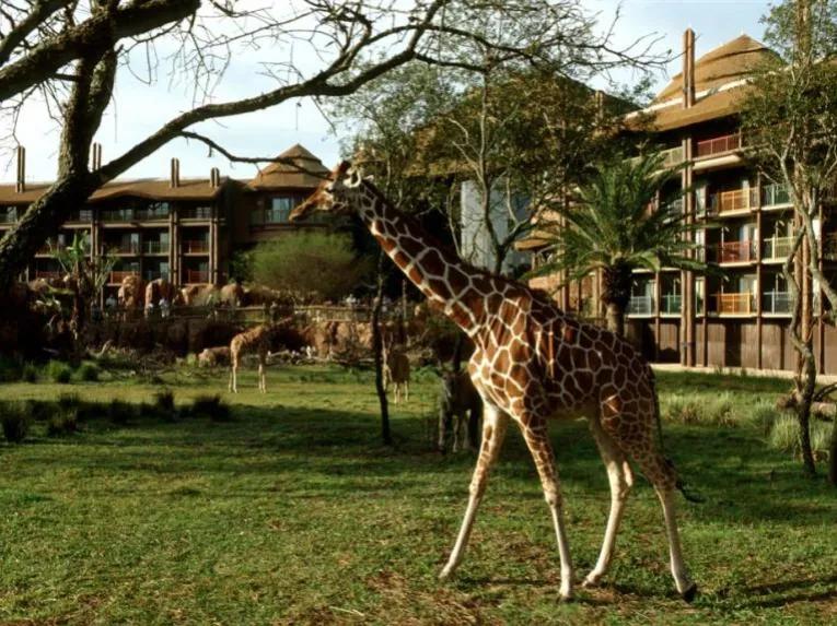 Disney's Animal Kingdom Lodge - Jambo Villas