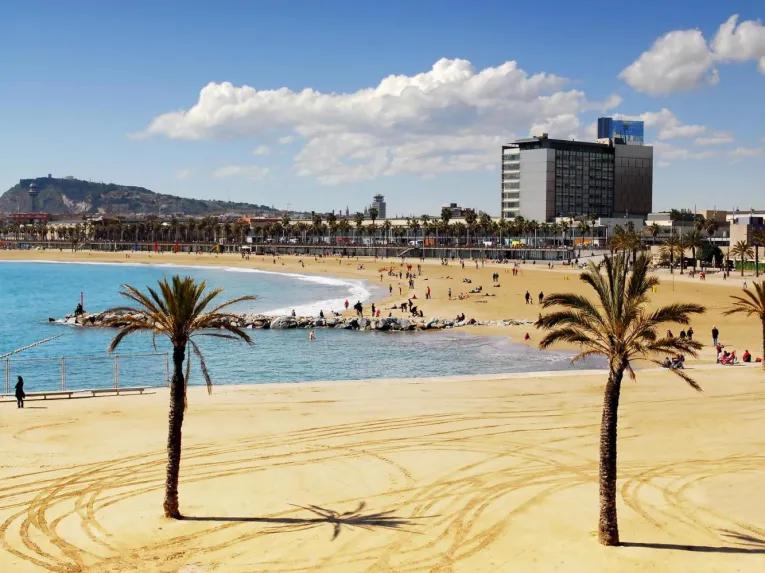 Barcelona in One Day - Barcelona Highlights & Artistic Barcelona