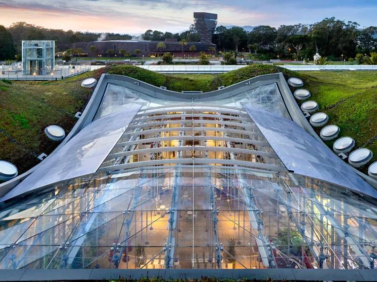 California Academy of Sciences - Behind-the-Scenes Academy Tour