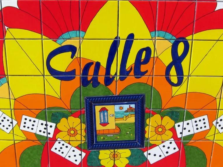 Big Bus Miami All Loops Bus Tours