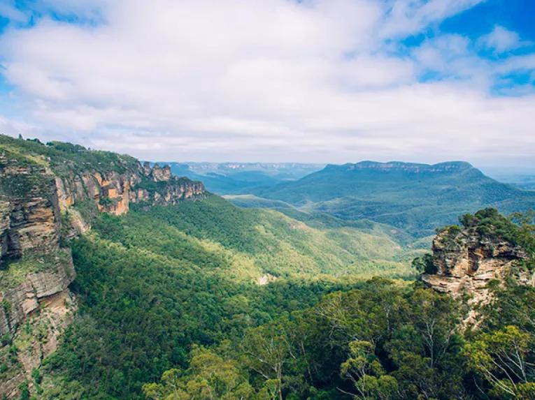 Blue Mountains & Australian Wildlife Tour