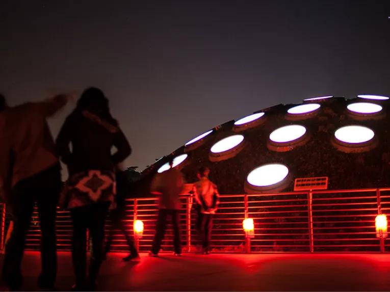 California Academy of Sciences Nightlife VIP Tour
