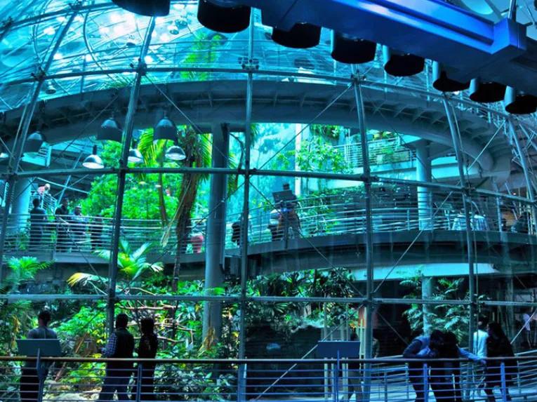 California Academy of Sciences Nightlife VIP Tour