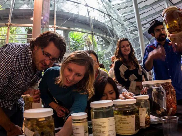 California Academy of Sciences Nightlife VIP Tour