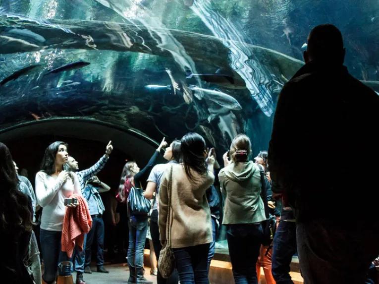 California Academy of Sciences Nightlife VIP Tour