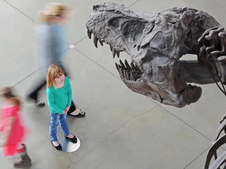 California Academy of Sciences Skip-the-Line General Admission Ticket