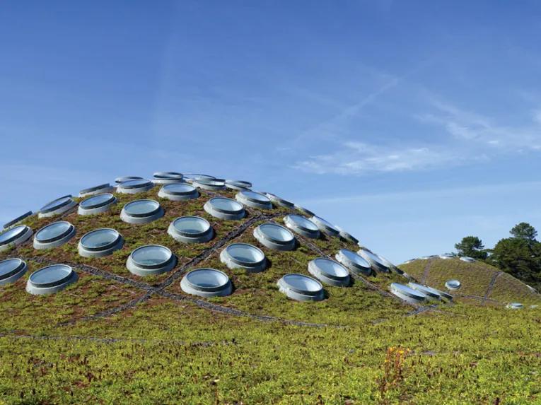 California Academy of Sciences - Behind-the-Scenes Academy Tour