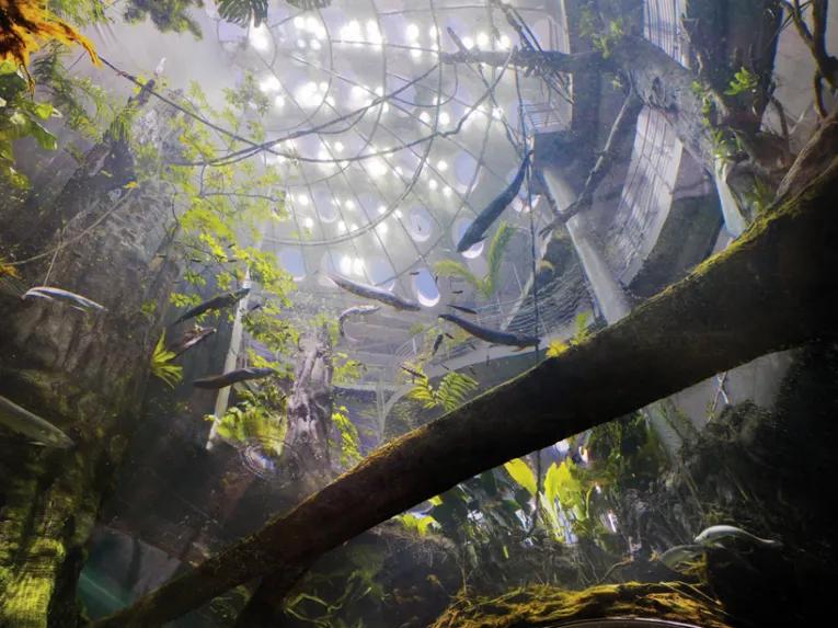 California Academy of Sciences