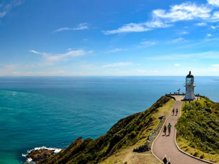 Cape Reinga Wanderer Tour