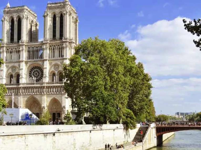 The Complete Paris Tour: Guided Walking Tour of Paris, the Louvre and Lunch at the Eiffel Tower