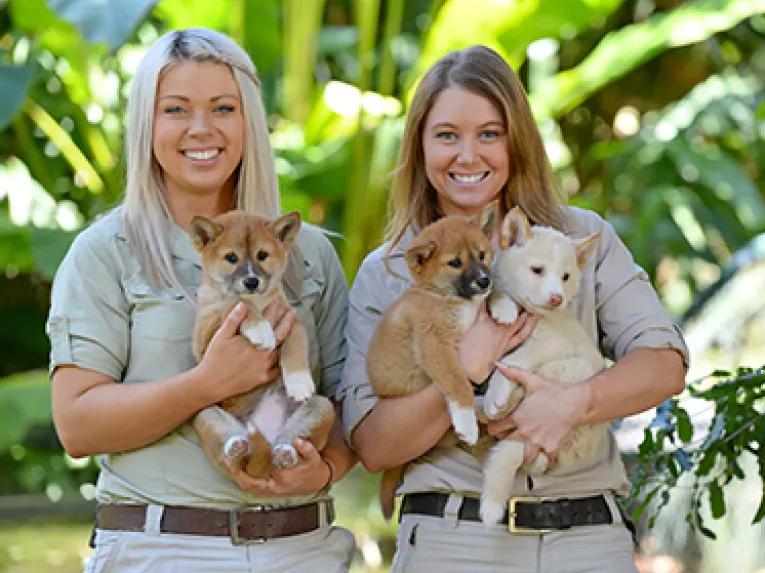 Croc Express - Australia Zoo from the Gold Coast