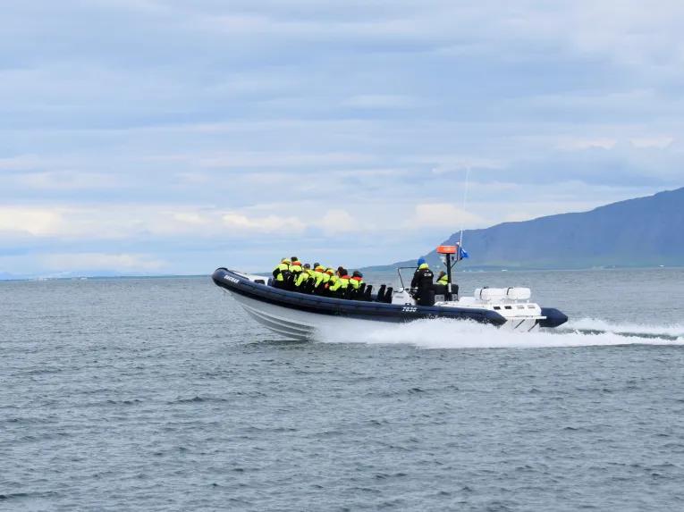 RIB Express Whale Watching Tour from Reykjavik
