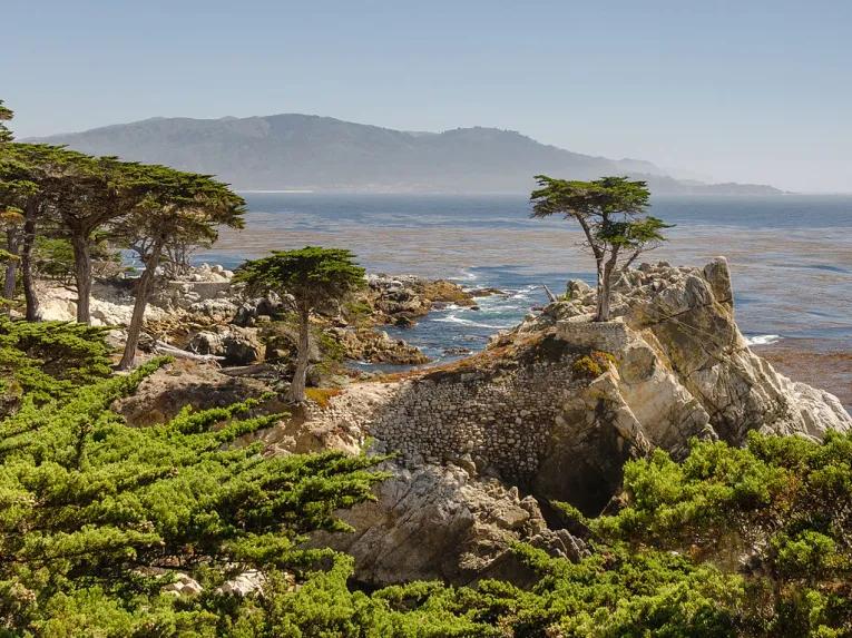 Day Trip to Monterey and Carmel 