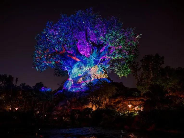Disney After Hours - Unique Nighttime Experiences at Walt Disney World