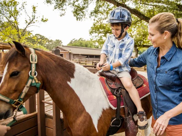 The Cabins at Disney's Fort Wilderness Resort 