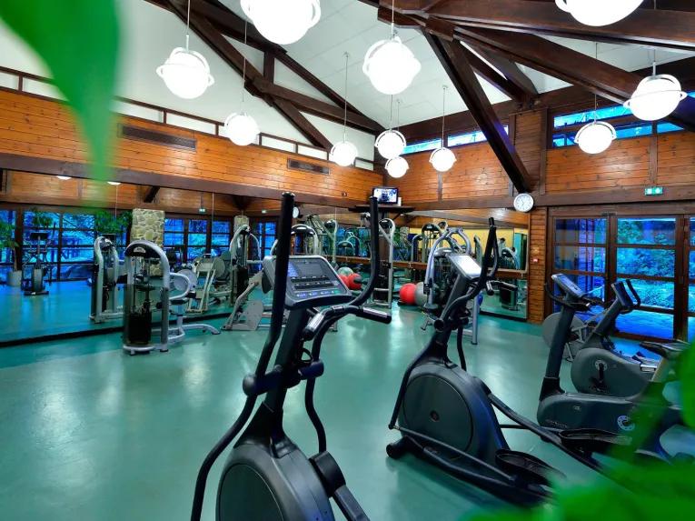 Disney's Sequoia Lodge