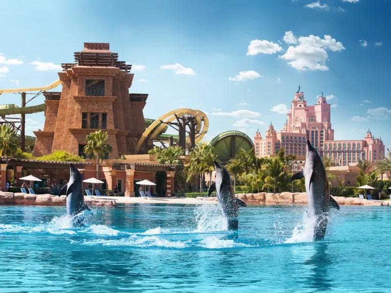 Atlantis Dolphin Encounter at Dolphin Bay
