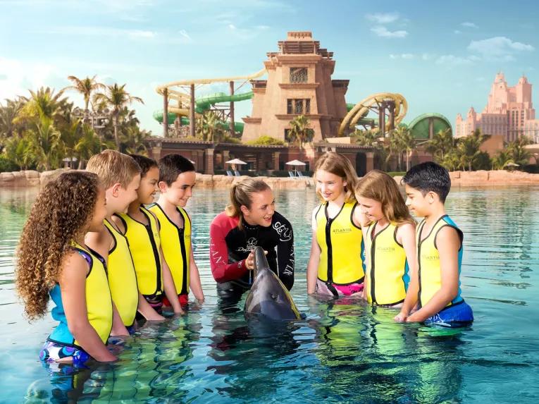 Atlantis Dolphin Encounter at Dolphin Bay