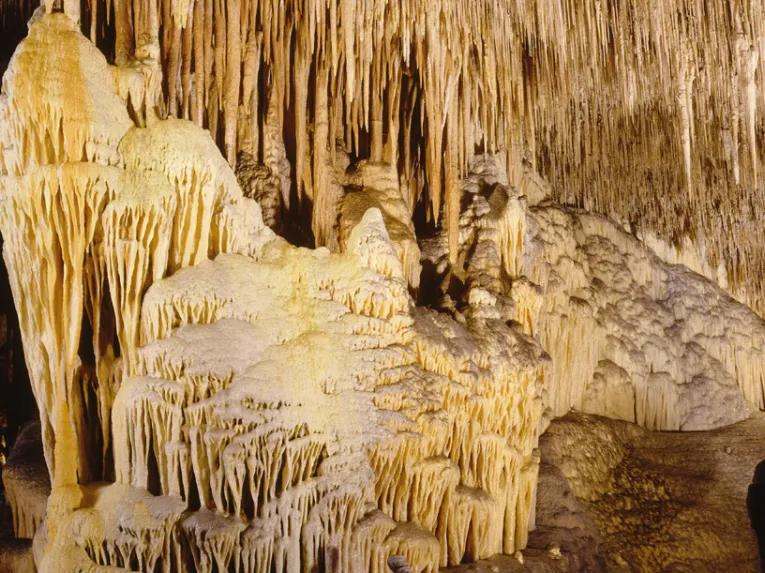 Caves of Drach Half-day Tour