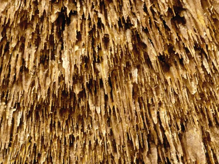 Caves of Drach Half-day Tour