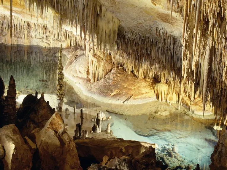 Caves of Drach Half-day Tour