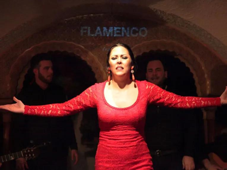 Flamenco Night at Tablao Cordobes