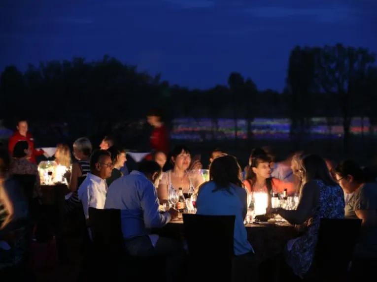 A Night at Field of Light