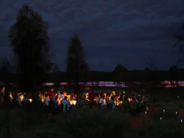 A Night at Field of Light