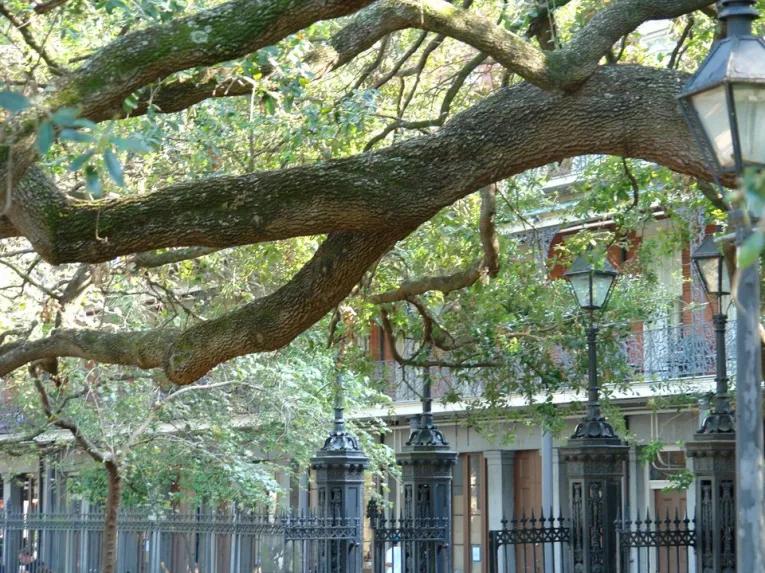 French Quarter Walking Tour
