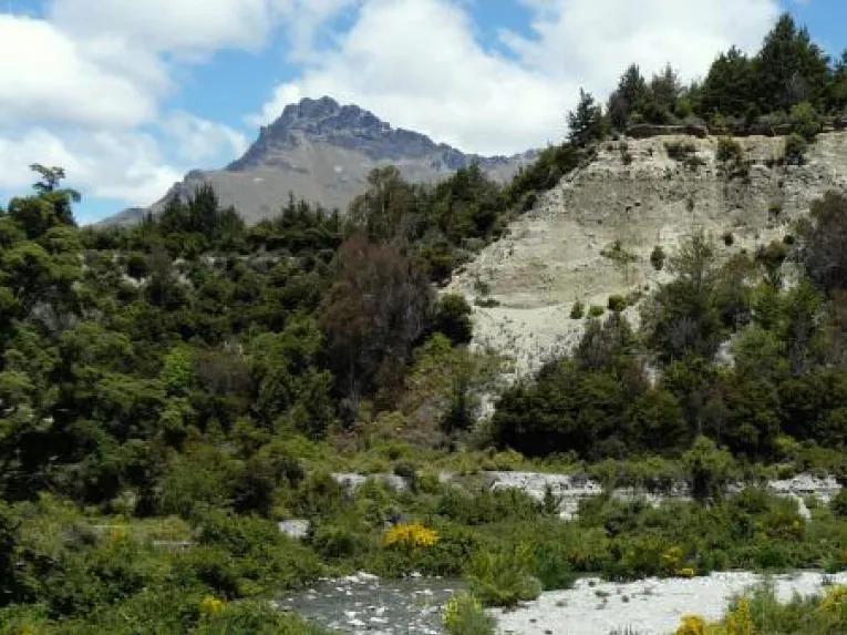 Safari of the Scenes 4WD Tour - Glenorchy