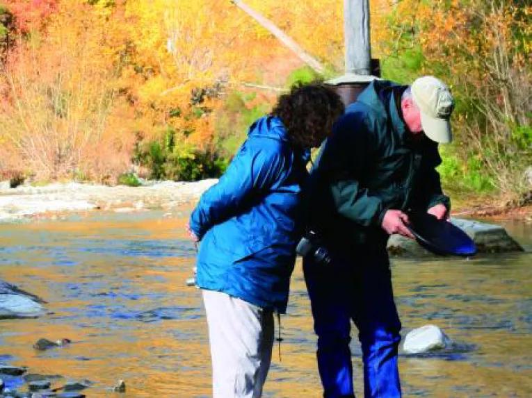 Safari of the Scenes 4WD Tour - Glenorchy