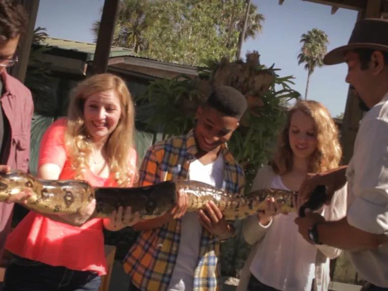 Gatorland Trainer for a Day