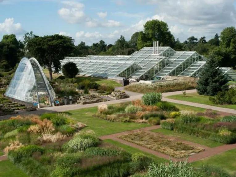 Kew Gardens and Kew Palace Ticket