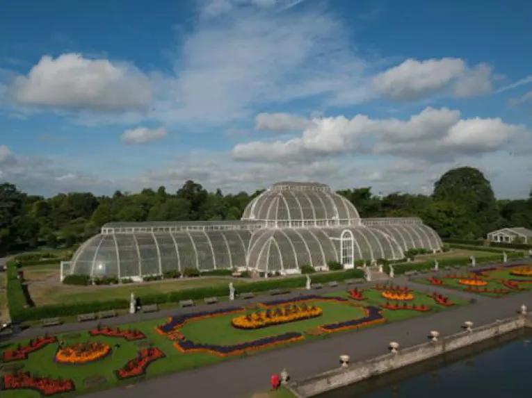 Kew Gardens and Kew Palace Ticket