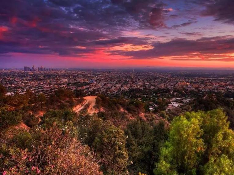Hollywood Hills Guided Hike