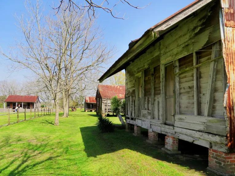 Double Plantation Tour