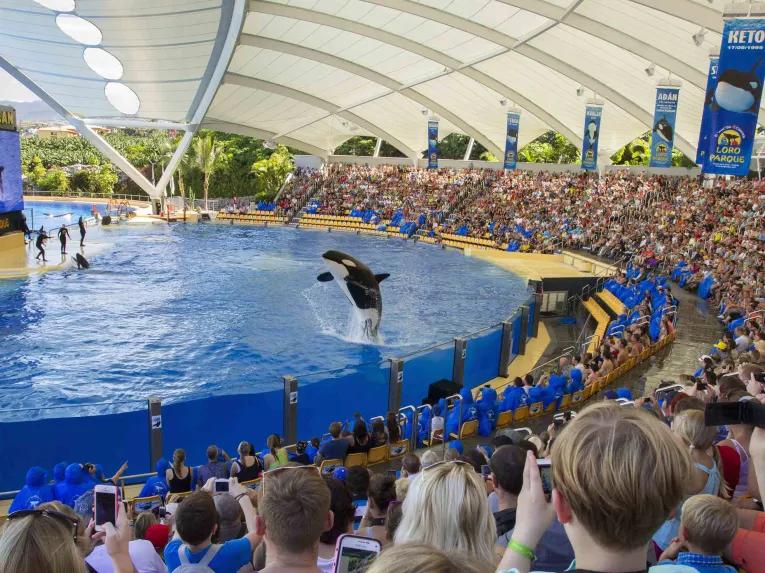 Loro Parque with Transport