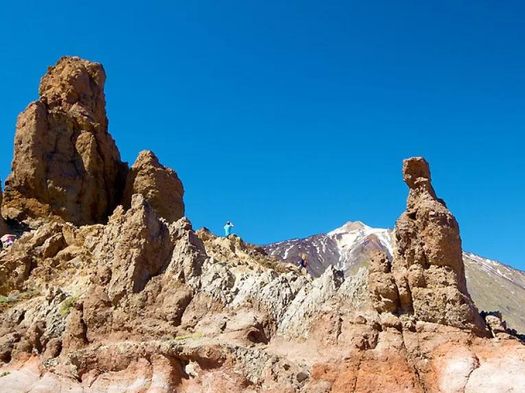 Mount Teide & Loro Parque