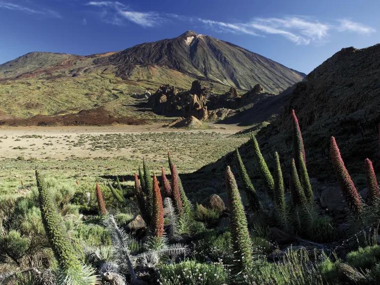 Mount Teide Tour and Observatory Excursion