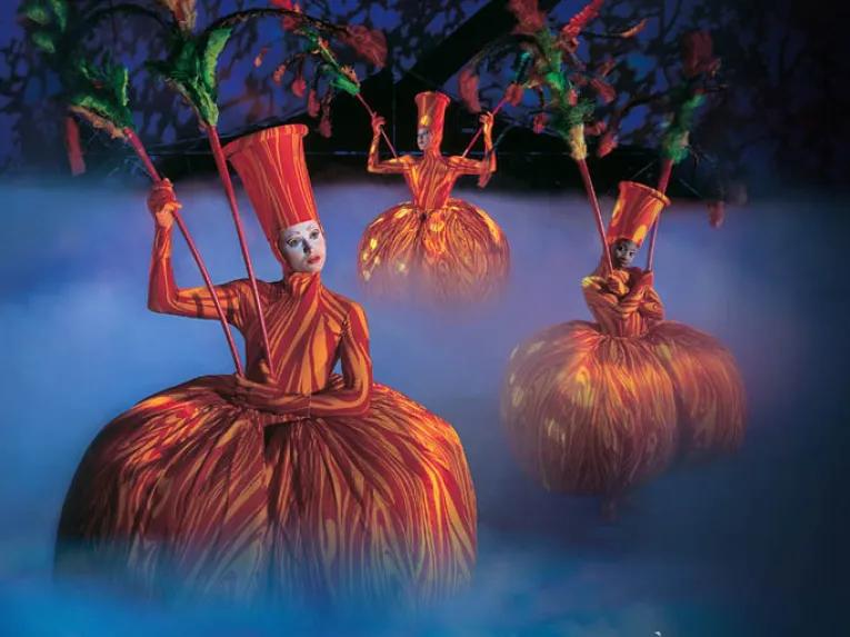 Mystère Cirque du Soleil Tickets