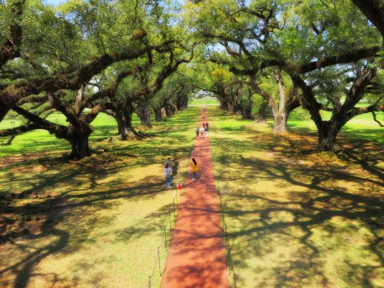 Double Plantation Tour