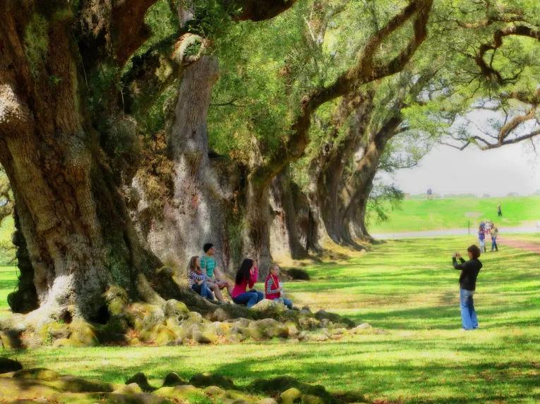 Oak Alley Plantation Tour
