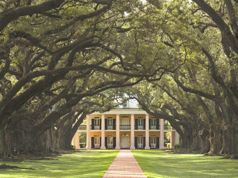 Oak Alley Plantation Tour