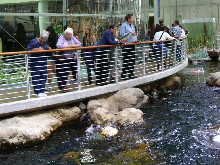 California Academy of Sciences